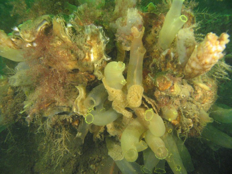 2012-05-12 12-50-50 Ludo.JPG